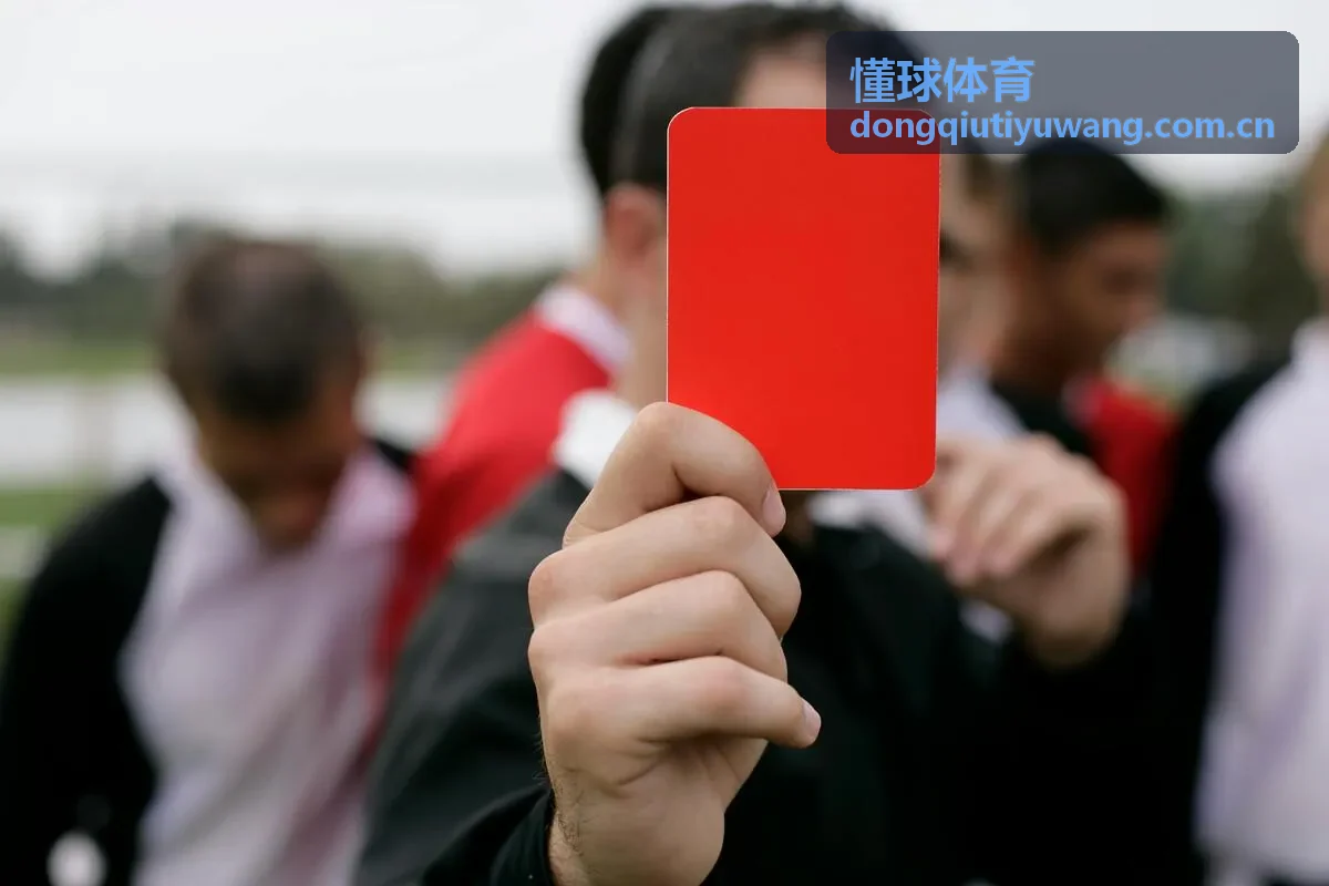 懂球体育球员转会评估数据案例